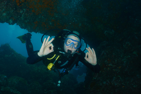 Een foto van Robin duikend onder water